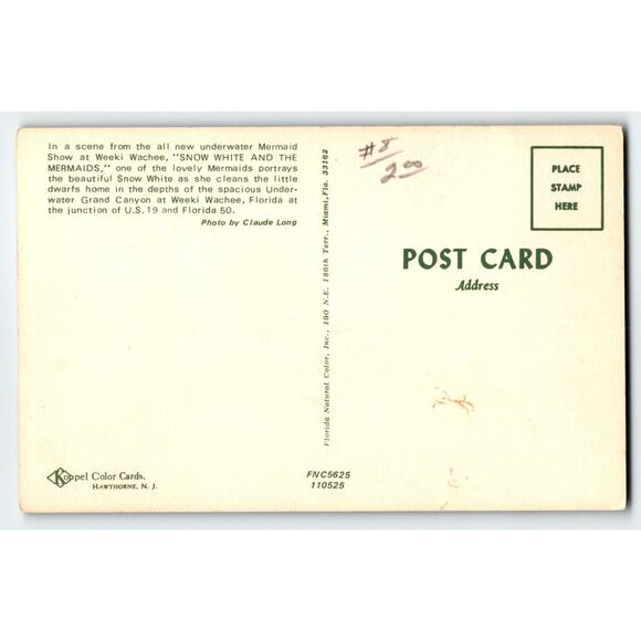 Weeki Wachee Florida Postcard Mermaid Performs Snow White Underwater Act Unused - Picture 2 of 2